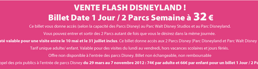 Vente flash Disney Land