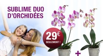 1 Orchidée achetée = 1 Orchidée Offerte chez Florajet