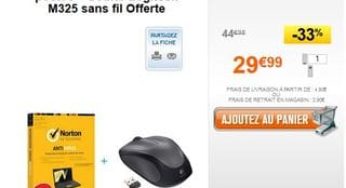 29,99 euros Pack Norton Antivirus 2013 (2 ans / 3 postes) + Souris Logitech M325 sans fil gratuite