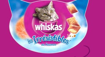 Echantillon friandises Irrésistibles de WHISKAS gratuit