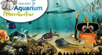 Aquarium Sealand de Noirmoutier pas cher ! 2 entrées pour 18€ au lieu de 26€