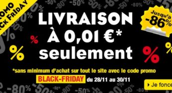 Black Friday Decitre : livraison à 0,01€ et livres jusqu’à moins 85% (jusqu’à dimanche)