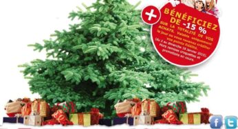 Sapin de Noël 100% remboursé par les magasins Ma Jardinerie (-2 € pour une association)