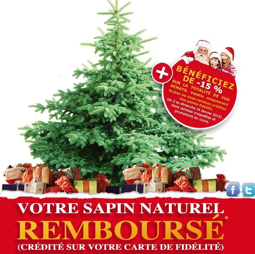 Sapin de Noël 100% remboursé