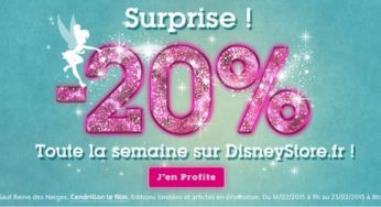 Moins 20% de remise sur tout Disney Store toute la semaine