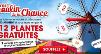 Moulin de la chance : 312 plantes gratuites sur Willemse