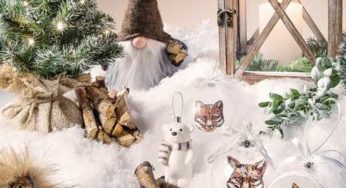 Bon d’achat décorations de Noël : bon d’achat de 30€ pour 15€ (Derly)