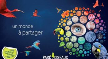 Billet Parc des Oiseaux de Villars les Dombes pas cher : 9,8€ enfant / 13,3€ adulte