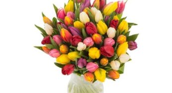 Bouquet de 40 tulipes moins cher : 19,90€ au lieu du double (Les Fleurs de Nicolas)