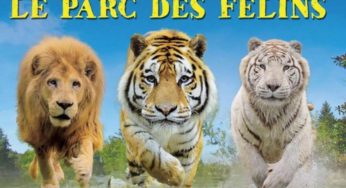 Entrée pour le Parc Zoologique des Félins à prix réduit (valable jusqu’en décembre)