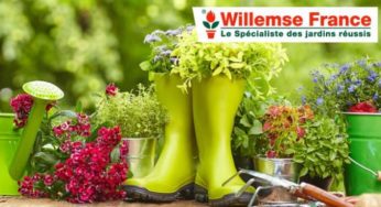 Bon de réduction Willemse : -45% sur vos achats (même les promos) pour 5€