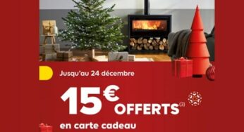 15€ offerts pour l’achat d’un sapin de Noel chez Castorama 🎄