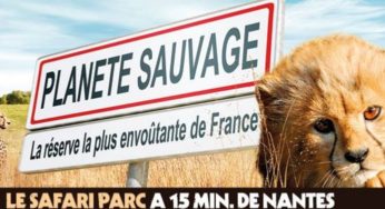 Entrée Zoo Planète Sauvage moins chère ! 21€ l’accès Safari (auto) et partie piétonne