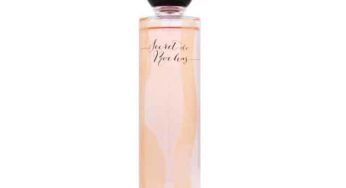 Eau de toilette Secret de Rochas 100 ml à 33€ port inclus