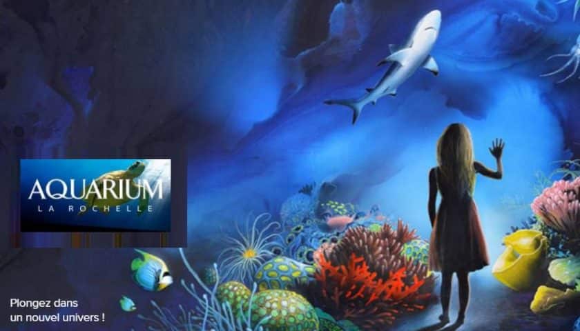 Visite de l’aquarium La Rochelle avec audioguide pas cher