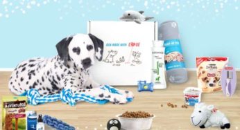 Wamiz Box (box chat ou chien) à 12,90 € au lieu de 24,90€ – port inclus 🐕🐈