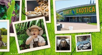 Billet Planet Exotica Royan moins cher : à partir de 12,5€ (reptiles, jardin du Jurassic, jeux…)