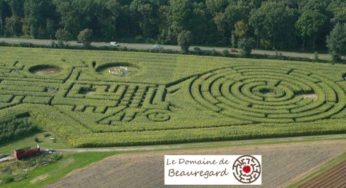 Labyrinthe de Beauregard pas cher : 20€ pour 4 personnes / 15€ pour 3 personnes (labyrinthe géant végétal)