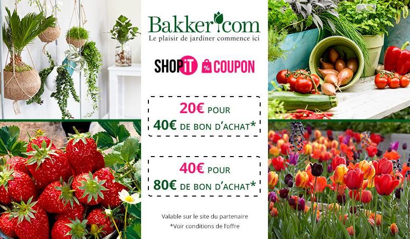 Achats moins chers sur Bakker avec un bon d’achat moitié prix