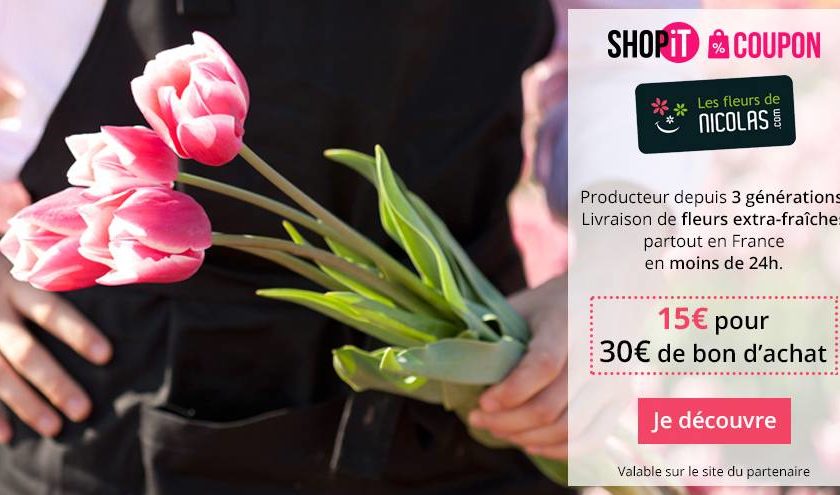 Bon d’achat Les Fleurs de Nicolas moitié prix