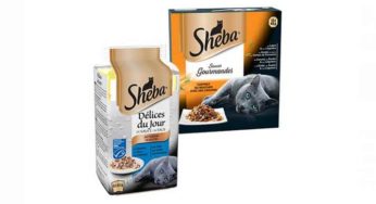 Coupon de réduction Sheba à imprimer : nourriture chat moins chère