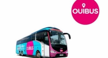 Code promo Ouibus : 20% de remise sur votre trajet 🚍