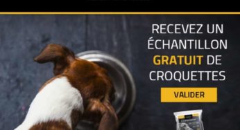 GRATUIT : échantillon croquettes pour chien Canem Expert 🐶