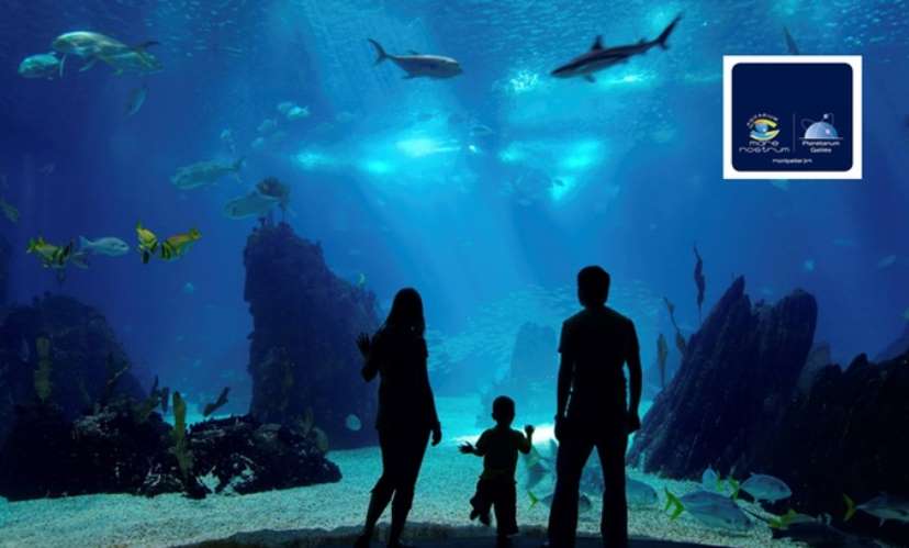 Aquarium Mare Nostrum pas cher (Montpellier) ! 20,50€ les 2 entrées