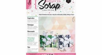 Abonnement magazine Esprit Scrap pas cher 12€ au lieu de 31€ (Trimestriel 4 N°)