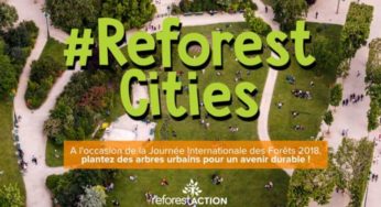 Journée Internationale des Forêts plantez un arbre en ville en quelques clics #ReforestCities