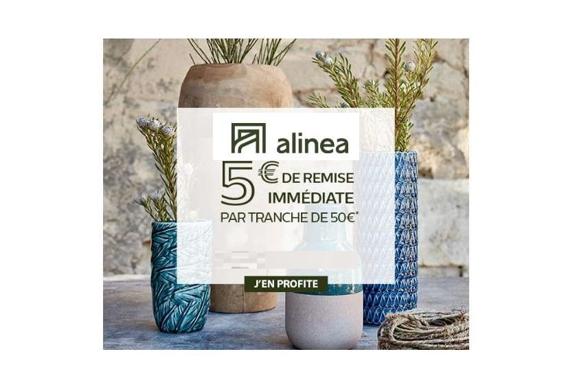 5€ de remise immédiate sur Alinea