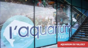 Billet aquarium du Valjoly pas cher : 4,5€ l’entrée (8,5€ les 2, 12,5€ les 3 et 16€ les 4)