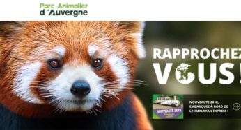 Journée au Parc Animalier d’Auvergne moins cher avec des billets dès 10,5€