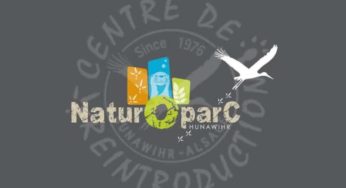 Parc NaturOparc moins cher (Alsace) : à partir de seulement 6,8€