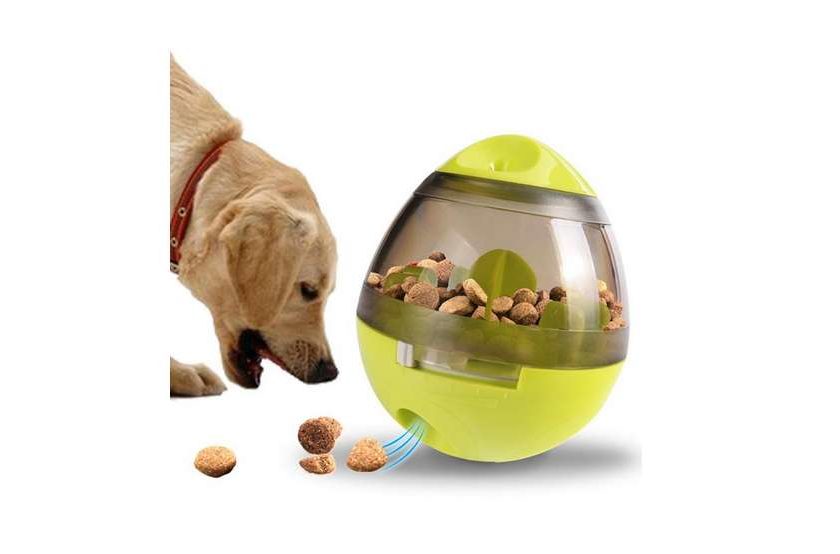 distributeur de croquettes jouet pour chien ou chat