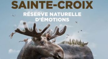 Parc Animalier de Sainte-Croix moins cher : 16,9€ enfant / 22,5€ adulte (au lieu de 24€/32€)