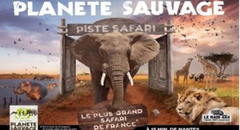 Pass Planète Sauvage saison illimité : 29€ pour enfant / 34,5€ pour adulte 🐯