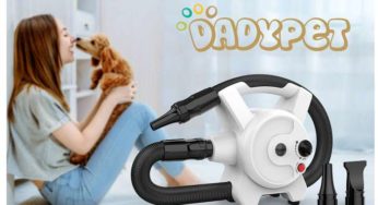 PROMO : 59,99€ le sèche poils électrique 2400w Dadypet (température et vitesse réglables)