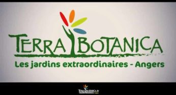 Billet Terra Botanica pas cher ! 12€ au lieu de 20€ et 23€ les 2 pers., 44€ les 4 pers