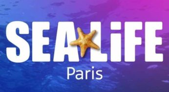 Billet moins cher pour SEA LIFE Paris : 10,80€ enfant / 14€ adulte (au lieu de 16,9€ / 20,95€)