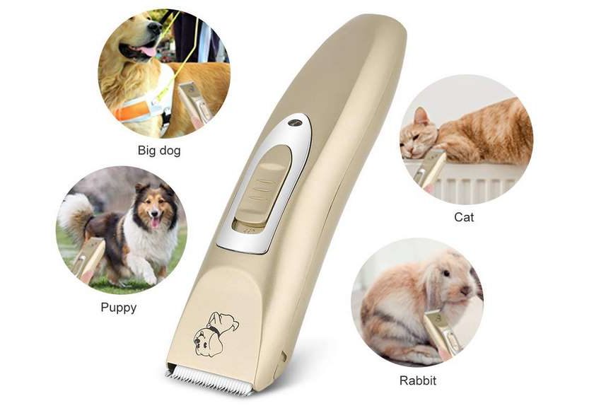 tondeuse à poils chien Haofy rechargeable