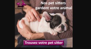 MALIN : Animaute la plateforme pour la garde d’animaux, promenades ou visites d’animaux en France