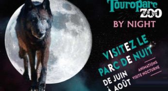 Billet nocturne Touroparc moins cher : dès 13,50 € (les samedis en juin, juillet et aout)