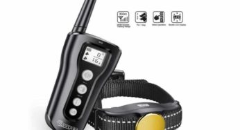 25,99€ collier de dressage de chien anti-aboiement avec télécommande Dadypet (porté 300m) port inclus