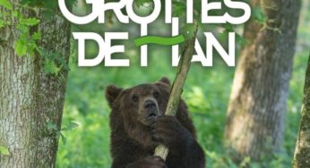 Pass domaine des Grottes Han en Belgique pas cher : 31€ (visite grotte + parc animalier), 22€ la grotte ou parc animalier