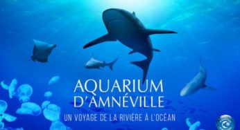 Billet entrée Aquarium d’Amnéville pas cher : 9,9€ au lieu de 14€