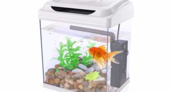 22,19€ petit aquarium complet Dadypet (aquarium 3,8l + pompe à air, lampe, fausse plante, galets)