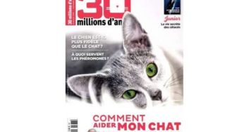 Abonnement 30 Millions d’Amis pas cher :22€ les 11 numéros (dont 1 double) au lieu de 60,5€