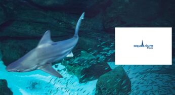 Aquarium de Paris pas cher : dés 15,90€ l’entrée nocturne avec boisson et 45€ Pass annuel