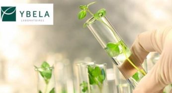 10€ de remise sur les produits YBELA Laboratoires (compléments alimentaires ) SANS MINIMUM !